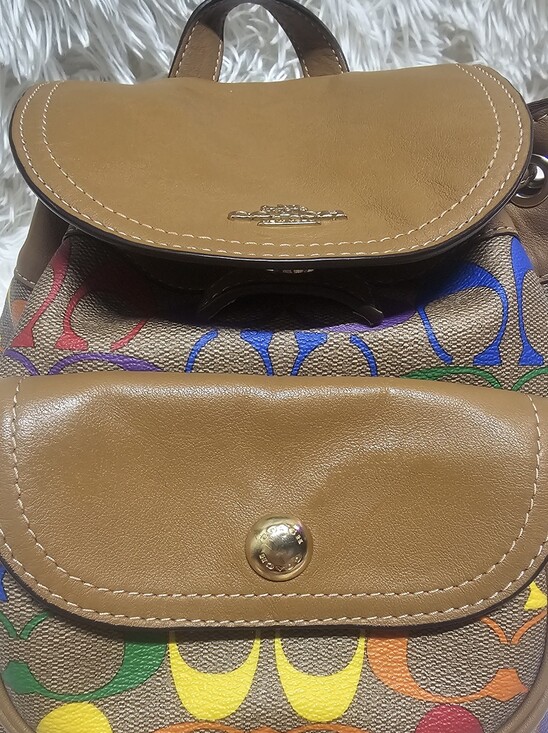 Coach EUC C4097 Pennie Backpack 22 In Rainbow Signature Canvas & Smooth Leather main image 11